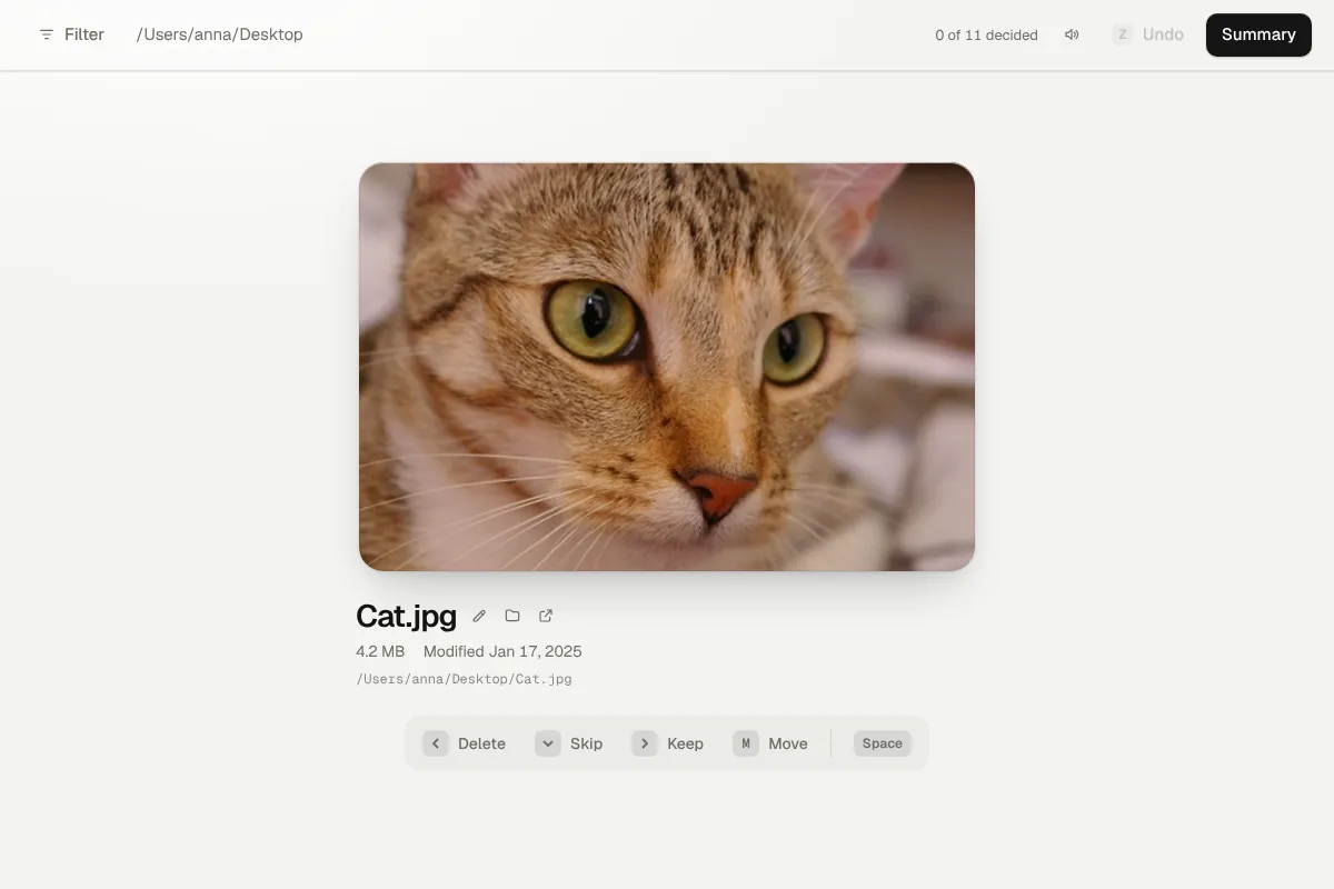 The card of a file with the buttons Delete, Skip and Keep